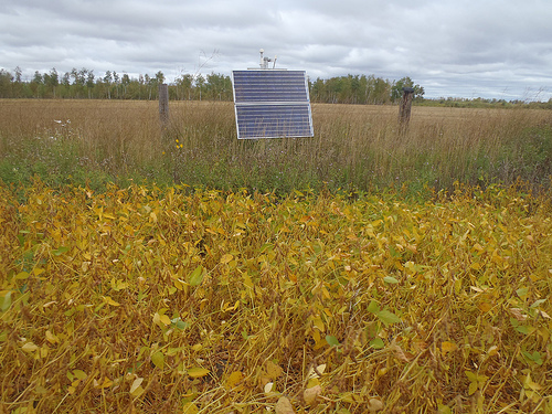 TA_A33A_Warroad, MN, USA