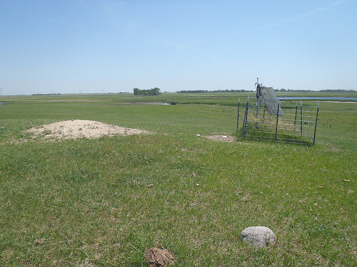 TA_H31A_Wolsey, SD, USA