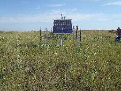 TA_P33A_Williams Farm, Concordia, KS, USA