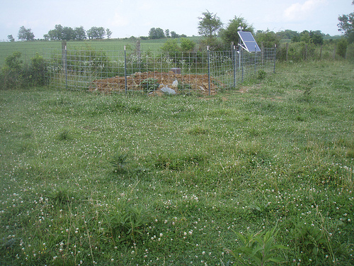 TA_R49A_Shelbyville, KY, USA