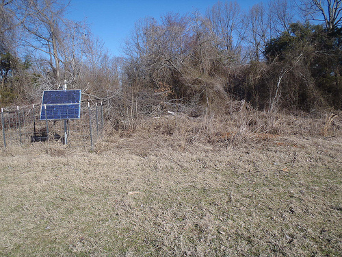 TA_V42A_Cord, AR, USA