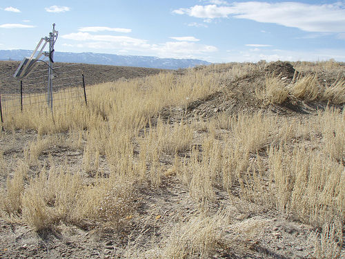 TA_P17A_Butcher Ranch, Price, UT, USA