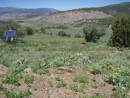 TA_P22A_Eagle, CO, USA