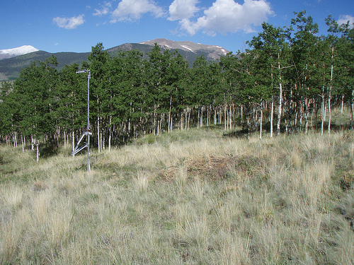 TA_P23A_Jefferson, CO, USA
