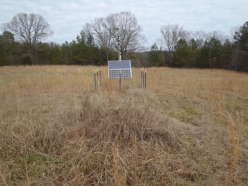TA_X45A_UM Field Station, Abbeville, MS, USA