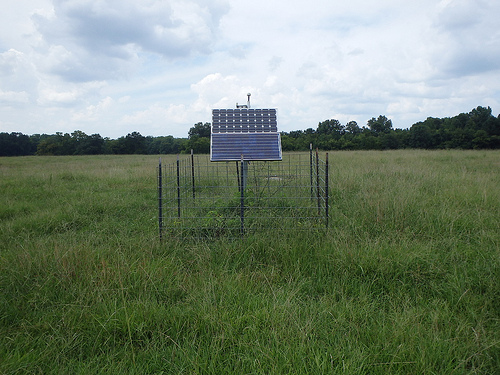 TA_X49A_Woodville, AL, USA